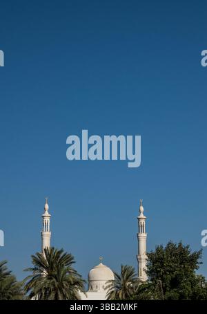 Vista della moschea Saeed bin Hamad al Qasimi negli Emirati Arabi Uniti, moschea bianca nella città di Fujairah, la settima città più grande degli Emirati Arabi Uniti sul Golfo di Oman Foto Stock