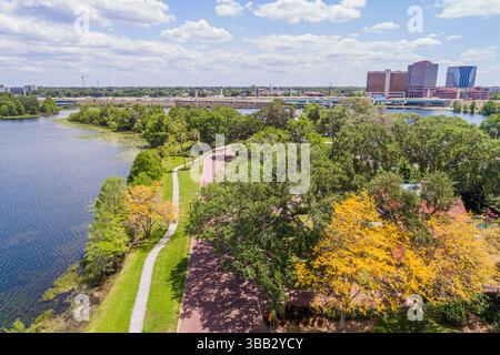 Orlando Florida, Lake Ivanhoe Park, vista aerea dall'alto, Tabebuia chrysotricha, albero di tromba dorata, albero di tromba giallo, Tabebuia tre fiorita Foto Stock