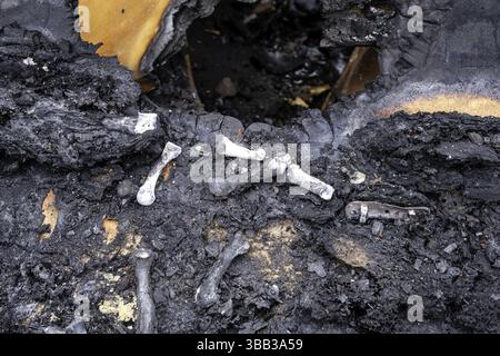 Particolare del vecchio crematorio con resti di ossa umane, cimitero Foto Stock