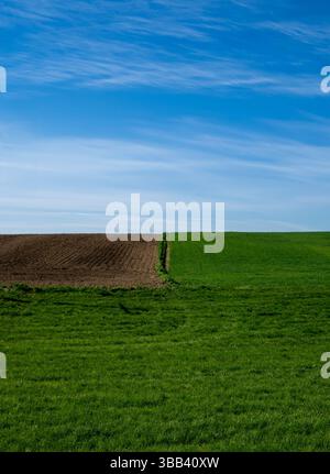 Ampia vista panoramica di un campo verde e di un campo appena arato fianco a fianco sotto un cielo azzurro. Paesaggio rurale di campagna catturato dalla luce del sole primaverile. Foto Stock