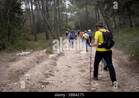 Gruppo di escursionisti che camminano in un sentiero naturalistico. Persone che fanno trekking all'aperto nella foresta. Stile di vita sano e attivo. Foto Stock