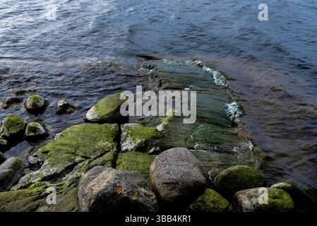 Pietre ricoperte di alghe verdi nell'acqua. Acqua riflettente trasparente liscia. Foto Stock