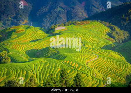 Sette stelle accompagnano la Luna, parte della dorsale del Drago, o Longji Rice Terraces, situata vicino al villaggio di Ping'an nel northe Foto Stock