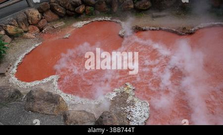 Beppu Jigokudani (Valle dell'Inferno) - sorgenti termali vulcaniche e il Paese delle meraviglie geotermiche in Giappone Foto Stock