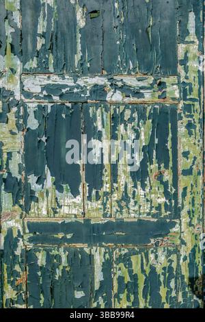 Texture vintage di vecchia vernice screpolata e sfaldatura che mostra l'età e il carattere, motivo di sfondo astratto. Primo piano di legno verde intemprato Foto Stock