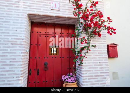 Fiore rosso, porta rossa e cassetta postale rossa a Granada, Spagna Foto Stock