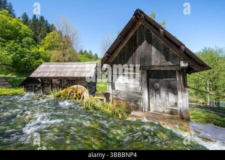 Bosnia-Erzegovina, bosnia-erzegovina, erzegovina, muehle, wassermuehle, mulino ad acqua, acqua, plivsko, jajce, storico, Foto Stock