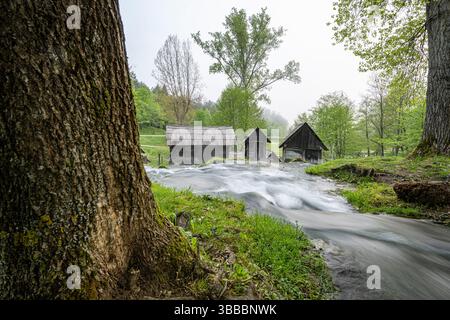 Bosnia-Erzegovina, bosnia-erzegovina, erzegovina, muehle, wassermuehle, mulino ad acqua, acqua, plivsko, jajce, storico, Foto Stock