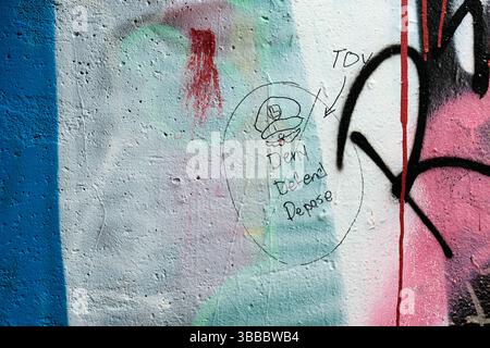 Immagine graffiti del carattere Luigi dei fratelli Super Mario e le parole negano, difendono, depogono; affermazione e riferimento a sostegno di Luigi Mangione. Foto Stock