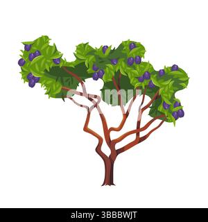 Pianta di prugne o pianta vettoriale da frutto isolata. Simbolo del clipart per l'agricoltura e il giardinaggio, il raccolto stagionale e la flora del frutteto. Natura con corona e ramoscello. Prodotti agricoli, cibo commestibile sano. Legno. Illustrazione Vettoriale