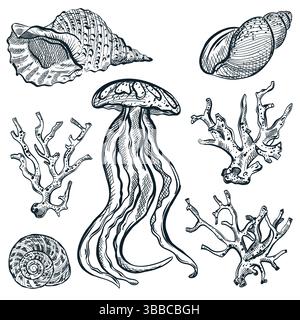 Insieme di icone della vita oceanica ed elementi di design. Meduse, conchiglie e coralli isolati su sfondo bianco. Illustrazione dello schizzo disegnato a mano vettoriale di se Illustrazione Vettoriale
