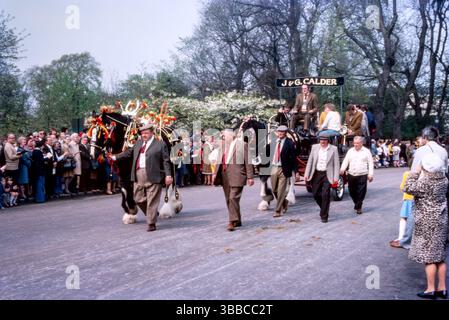 London Harness Horse Parade, lunedì di Pasqua 1976, nel Regent's Park. J & G Calder cart con cavallo decorato Foto Stock