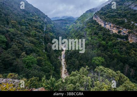 Spettacolare canyon fluviale profondo, con acqua impetuosa e fangosa che attraversa il paesaggio boscoso delle montagne sotto il cielo mooso. Vista della gola selvaggia dall'alto vicino a San M Foto Stock