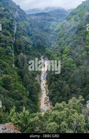 Profondo canyon boscoso con fiume fangoso che si intagliano attraverso ripidi pendii di montagna. Spettacolare paesaggio selvaggio catturato dal punto panoramico sopra San M. Foto Stock
