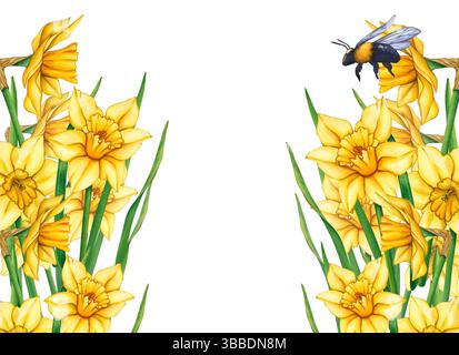 Fiori d'acquerello gialli e bumblebee. Illustrazione acquerello di un prato con fiori e api volanti. Prato fiorito in un giorno d'estate. Telaio di Foto Stock