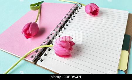 Quaderno a spirale aperto con pagine rosa e bianche, decorato con tre tulipani rosa. La scena è ambientata su uno sfondo blu pastello, creando Foto Stock