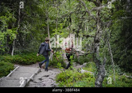 Nel bellissimo Parco Nazionale di Fulufjället a Dalarna, madre e figlio camminano lungo un sentiero tortuoso, godendosi il paesaggio estivo circondato da una natura lussureggiante Foto Stock