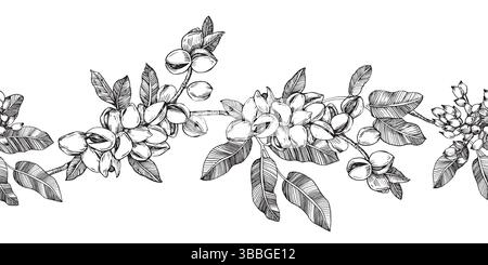 Ramo di pistacchio bordo senza cuciture con dadi e foglie.illustrazione Vector in bianco e nero disegnata a mano Illustrazione Vettoriale