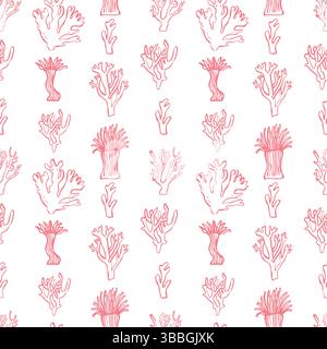 Delicato schema vettoriale con coralli Illustrazione Vettoriale