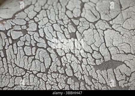 Superficie bianca incrinata primo piano come trama di sfondo , crepe Foto Stock