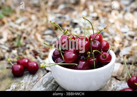 Ciliege fresche Foto Stock