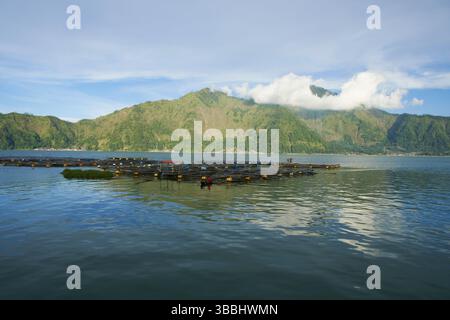 Gabbie di pesci Mujaer realizzate dagli allevatori di pesci nel lago Batur, Kintamani - Bali, Indonesia Foto Stock