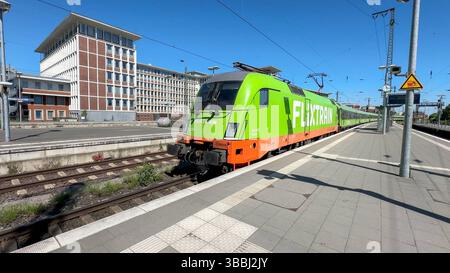 Flixtrain Hamburg nach Köln bei der Einfahrt in den Hauptbahnhof. Münster, Nordrhein-Westfalen, DEU, Deutschland, 16.05.2025 *** Flixtrain Amburgo-Colonia entrando nella stazione centrale di Münster, Renania settentrionale-Vestfalia, DEU, Germania, 16 05 2025 Foto Stock