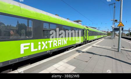 Flixtrain Hamburg nach Köln bei der Einfahrt in den Hauptbahnhof. Münster, Nordrhein-Westfalen, DEU, Deutschland, 16.05.2025 *** Flixtrain Amburgo-Colonia entrando nella stazione centrale di Münster, Renania settentrionale-Vestfalia, DEU, Germania, 16 05 2025 Foto Stock