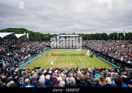 'S-HERTOGENBOSCH, PAESI BASSI - 14 GIUGNO: Tallon Griekspoor dei Paesi Bassi partecipa al quarto di finale maschile contro l'australiano Aleksandar Vukic il giorno 5 del Libema Open Grass Court Championships all'Autotron il 14 giugno 2024 a 'S-Hertogenbosch, Paesi Bassi (foto di Rene Nijhuis/BSR Agency) Foto Stock