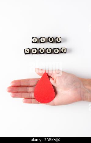 Una mano femminile che regge una goccia di sangue di carta e un testo di sangue donato in spagnolo scritto con dadi su sfondo bianco. Concetto di giorno dei donatori di sangue. Foto Stock