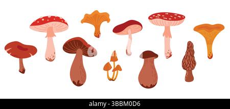 Set di funghi Cartoon Wild Forest. Raccolta funghi commestibili e velenosi: Morel, Amanita, Boletus, Porcini, Chanterelle, fungo del miele Illustrazione Vettoriale
