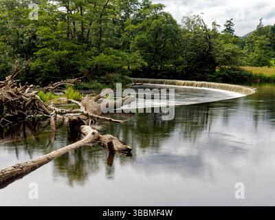 Questa elegante struttura a ferro di cavallo di 140 m, chiamata Horseshoe Falls, devia l'acqua dal fiume Dee all'inizio del canale Llangollen. Foto Stock