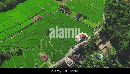 Il drone sorvola vivaci risaie verdi, risaie e case tradizionali nel pittoresco paesaggio di Bali, Indonesia. Cultura agricoltura aerea balinese turismo texture background di viaggio Foto Stock