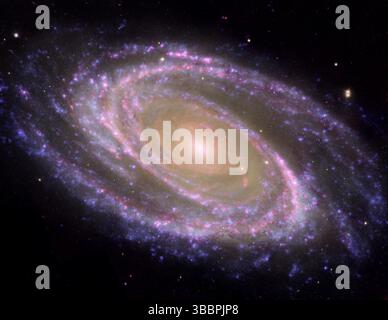 1 giugno 2007 - Space - la galassia a spirale conosciuta come Messier 81 (M81) ha una tinta rosea in questo 1 giugno 2007, immagine composita che incorpora i dati dei telescopi Spitzer e Hubble Space della NASA e Galaxy Evolution Explorer della NASA. Scoperta dall'astronomo tedesco Johann Elert Bode nel 1774, la M81 è una delle galassie più luminose del cielo notturno. Si trova a 11,6 milioni di anni luce dalla Terra nella costellazione dell'Orsa maggiore. Le braccia a spirale della galassia, che si avvolgono fino al suo nucleo, sono costituite da giovani, bluastre, stelle calde formatesi negli ultimi milioni di anni. Ospitano anche un p Foto Stock