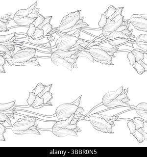 Motivo a strisce con tulipani lineari in bianco e nero. Bordo floreale senza cuciture con fiori primaverili disegnati a mano Illustrazione Vettoriale