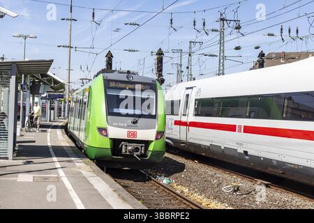 S-Bahn S1 dipinta di verde da Solingen a Dortmund. Stazione della S-Bahn Volksgarten con piattaforma e GHIACCIO. Vista sulla città di Duesseldorf, Renania settentrionale-Vestfalia Foto Stock