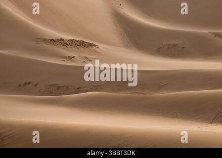 Deserto del Gobi, Mongolia: Vaste dune e paesaggi suggestivi immersi nella luce soffusa, che mostrano la bellezza serena e incontaminata della regione. Foto Stock