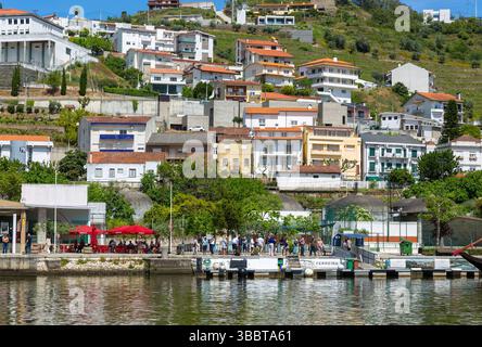 Edifici in collina, lungomare del fiume Douro, Pinhao, alto Douro, Portogallo, Europa Foto Stock