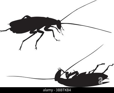 Silhouette vettoriali scarafaggi. Vivo e morto. EPS 8 Illustrazione Vettoriale