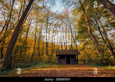 Capanna in legno nella foresta autunnale con atmosfera spaventosa, atmosfera scura e drammatica, vibrazioni stagionali di Halloween, misteriosa cabina rustica in una vergognosa terra boschiva Foto Stock