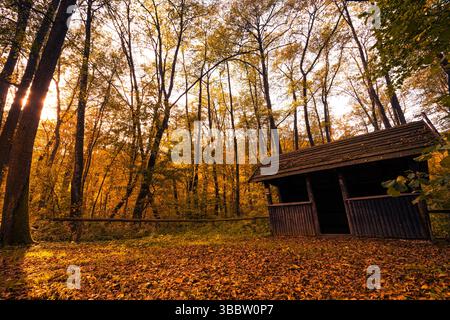Capanna in legno nella foresta autunnale con atmosfera spaventosa, atmosfera scura e drammatica, vibrazioni stagionali di Halloween, misteriosa cabina rustica in una vergognosa terra boschiva Foto Stock