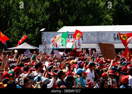 Imola, Italie. 17 maggio 2025. Illustrazione di Tifosi durante il Gran Premio del Made in Italy e dell'Emilia-Romagna 2025, Gran Premio dell'Emilia Romagna 2025, 7° appuntamento del Campionato del mondo di Formula 1 FIA 2025 dal 16 al 18 maggio 2025 sull'autodromo Internazionale Enzo e Dino Ferrari, a Imola, Italia - foto Javier Jimenez/DPPI credito: DPPI Media/Alamy Live News Foto Stock