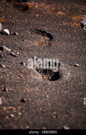 Spiaggia di Topinetti vicino a Rio Marina sull'Isola d'Elba, Italia, agosto 2011 Foto Stock