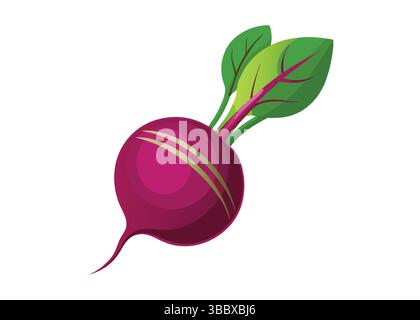 vettore barbabietola Illustrazione Vettoriale