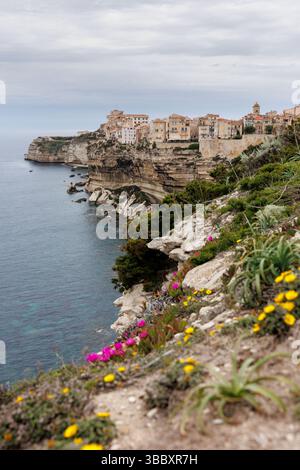 20 aprile 2025, Francia, Bonifacio: Veduta della città di Bonifacio sull'isola di Corsica (Francia) il 20.04.2025. Il centro storico medievale (Ville haute) può essere visto su un promontorio di pietra calcarea e arenaria, che in gran parte degrada verticalmente verso il mare. Bonifacio (corso Bunifaziu; Ligure Bunifazziu o Bonifacio) è una città portuale situata nel sud dell'isola francese del Mediterraneo della Corsica (Corsica) nel dipartimento della Corsica del Sud. Situata su un altopiano roccioso simile a una penisola, la città vecchia è uno dei luoghi di interesse più suggestivi dell'isola. Foto: Matthias B. Foto Stock