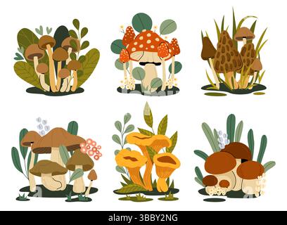 Funghi forestali. Funghi autunnali cartoni animati, gruppi funghi con foglie verdi, famiglia di funghi colorati che cresce nel fogliame forestale, russula porcini boletus Illustrazione Vettoriale