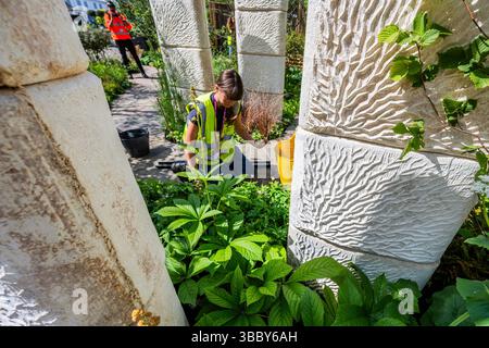 Londra, Regno Unito. 17 maggio 2025. Regolazioni finali per il Pathway Garden, Small Show Gardens - The RHS Chelsea Flower Show 2025. Si svolge dal 19-24 maggio. Crediti: Guy Bell/Alamy Live News Foto Stock