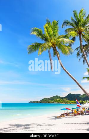 Giornata di sole nella splendida spiaggia di Chaweng, con palme da cocco e acqua turchese, Koh Samui, Thailandia. Foto Stock