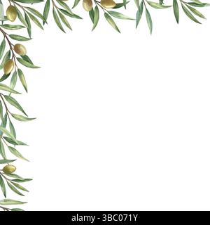 Cornice con rami di ulivo con frutta e foglie verdi. Illustrazione ad acquerello botanico disegnata a mano. Isolato su sfondo bianco. Modello per biglietti di auguri e inviti. Foto Stock