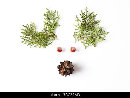 La renna faccia da materiali naturali. Natale cervi silhouette picture in stile minimalista design concept Foto Stock